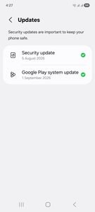 Google Play system update screen on Samsung Galaxy phone